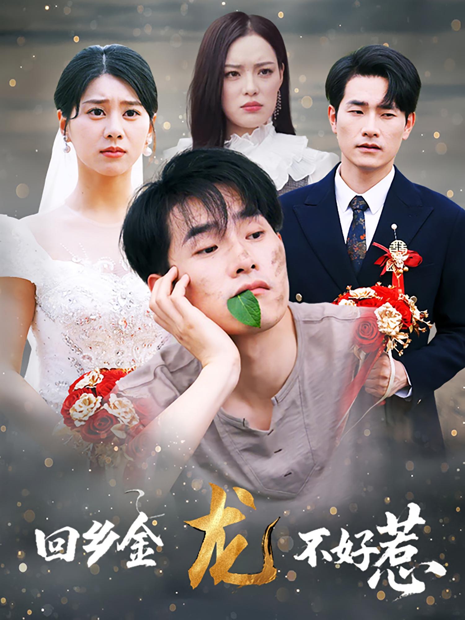 回乡金龙不好惹