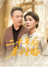 二十年后来闪婚